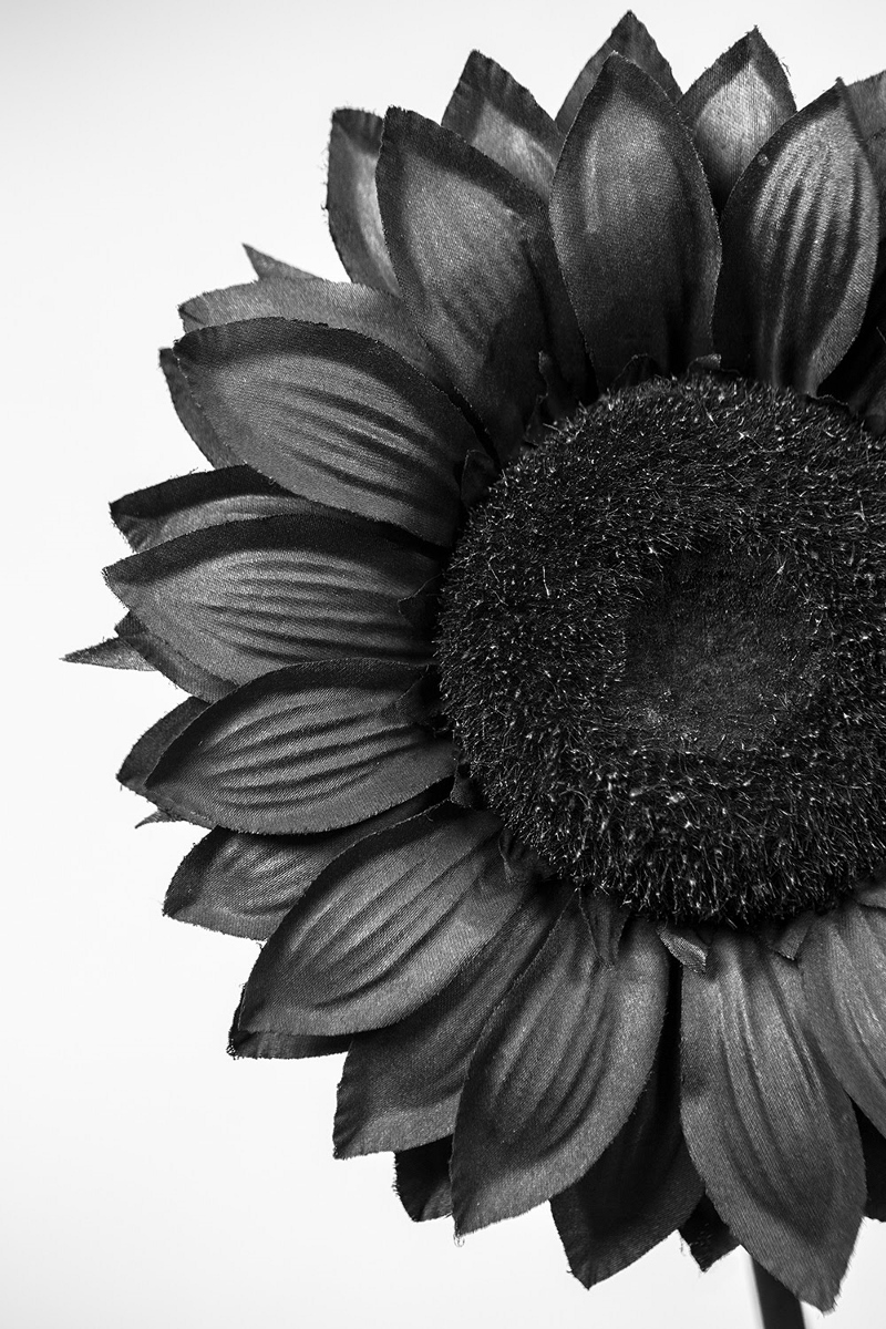 Appunti di sociologia urbana